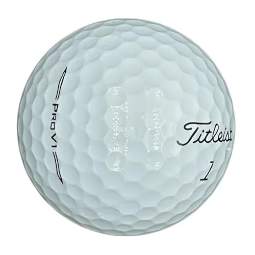 Titleist Pro V1 (2024) Used Golf Balls – 1 Dozen