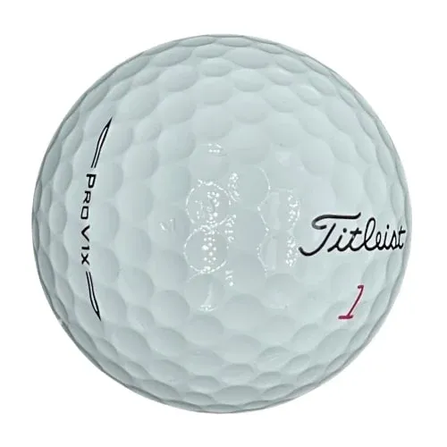 Titleist Pro V1x (2024) Used Golf Balls – 1 Dozen