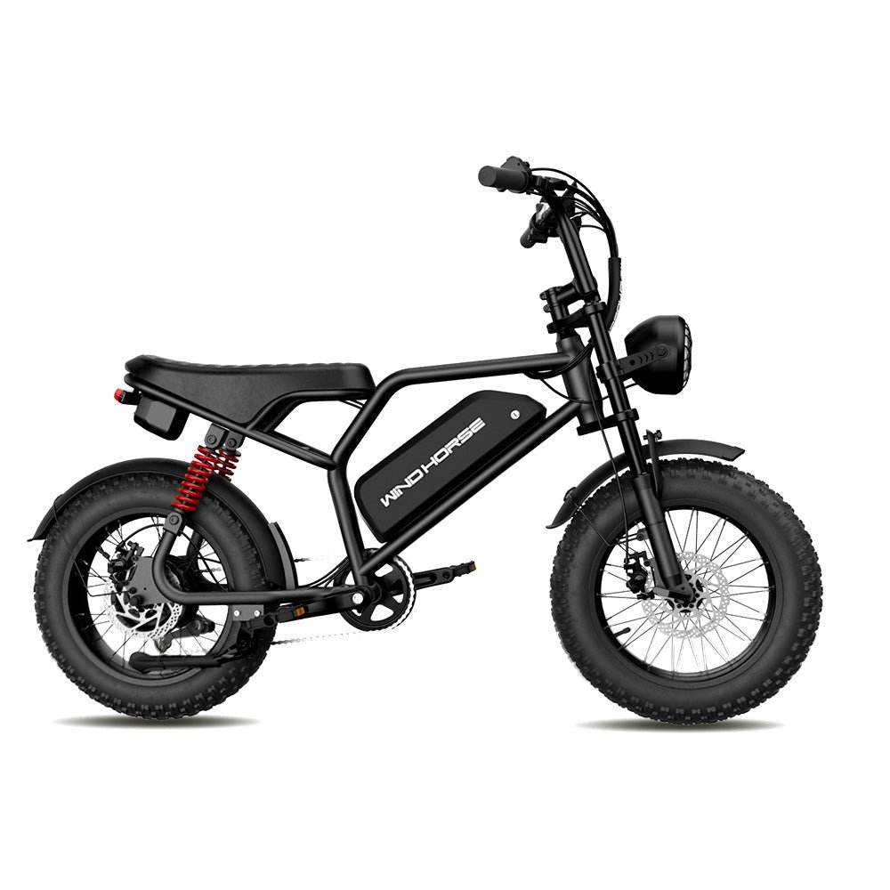 Windhorse V8MINI Electric Bike